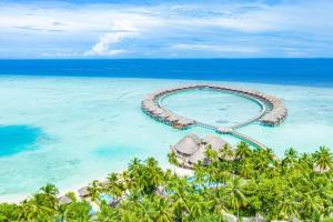 images/resorts/Vilu Reef/Vilu Reef Beach  Spa Resort5.jpg